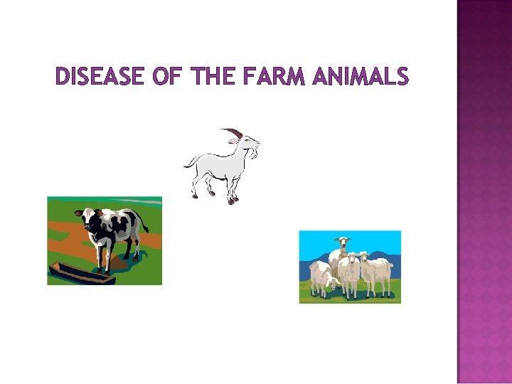 DISEASE OF THE FARM ANIMALS 
