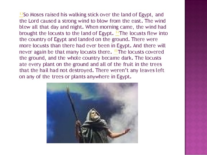 13 So Moses raised his walking stick over the land of Egypt, and the
