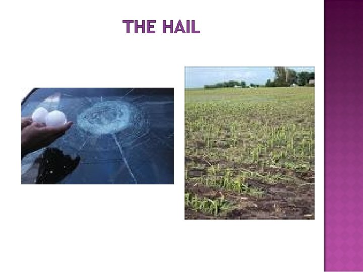 THE HAIL 