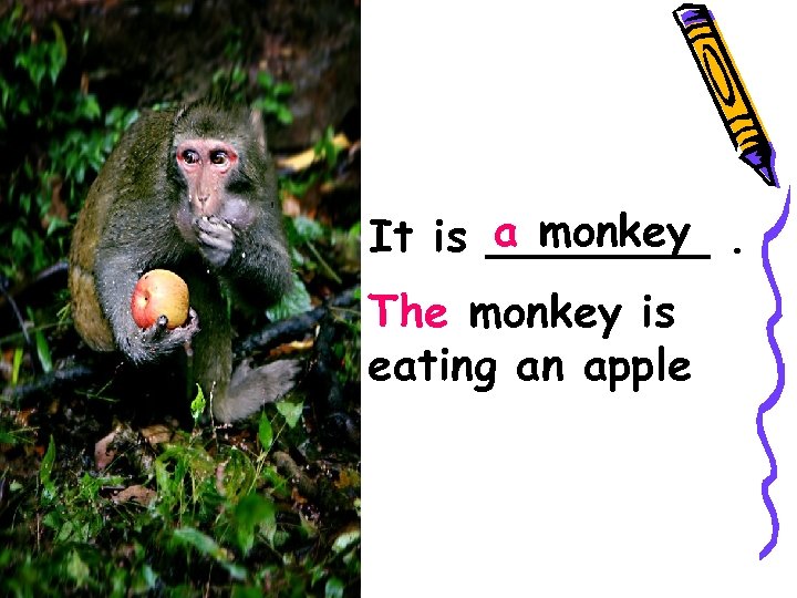 a monkey It is ____. The monkey is eating an apple 
