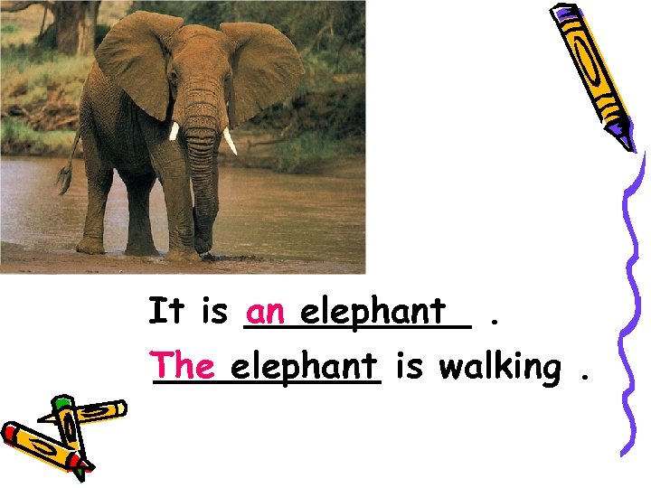 It is _____. an elephant The elephant is walking. _____ 