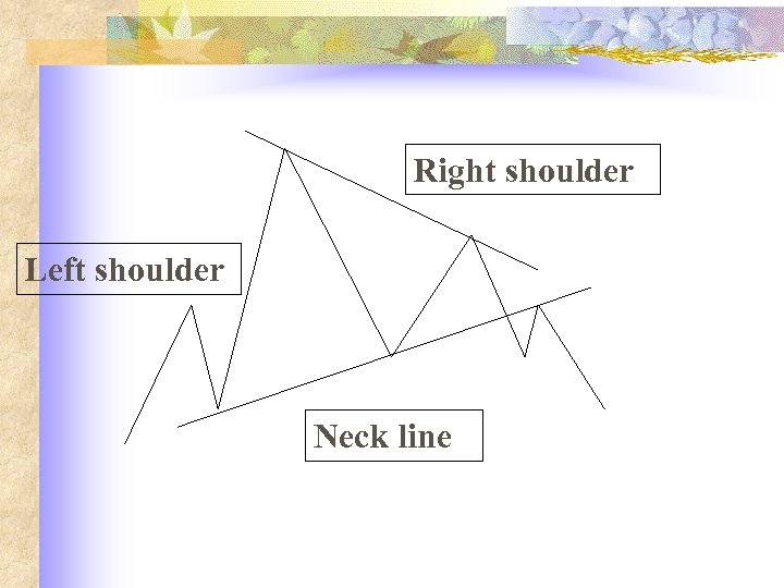 Right shoulder Left shoulder Neck line 