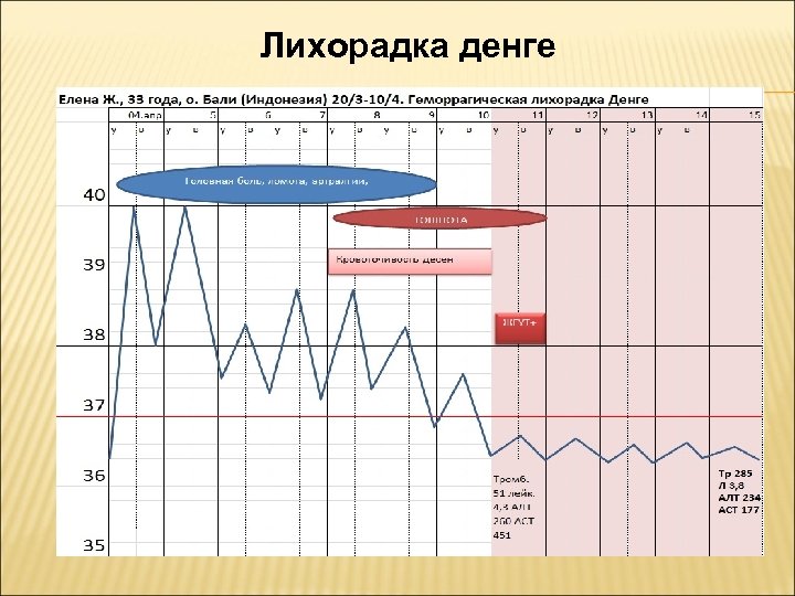  Лихорадка денге 