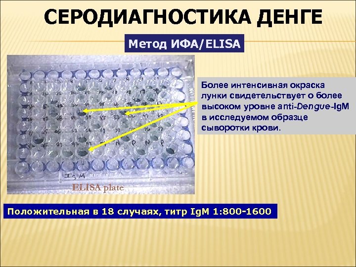 СЕРОДИАГНОСТИКА ДЕНГЕ Метод ИФА/ELISA Более интенсивная окраска лунки свидетельствует о более высоком уровне аnti-Dengue-Ig.