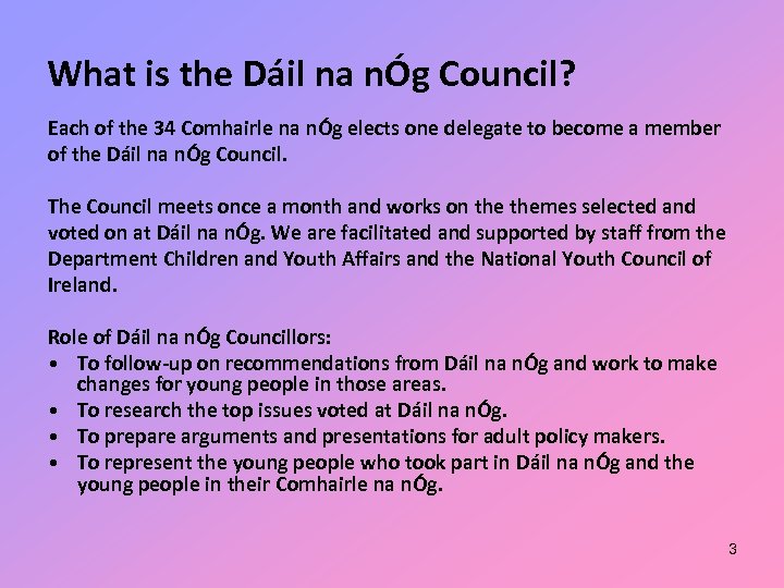 What is the Dáil na nÓg Council? Each of the 34 Comhairle na nÓg