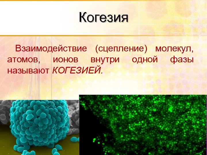 Когезия Взаимодействие (сцепление) молекул, атомов, ионов внутри одной фазы называют КОГЕЗИЕЙ. 