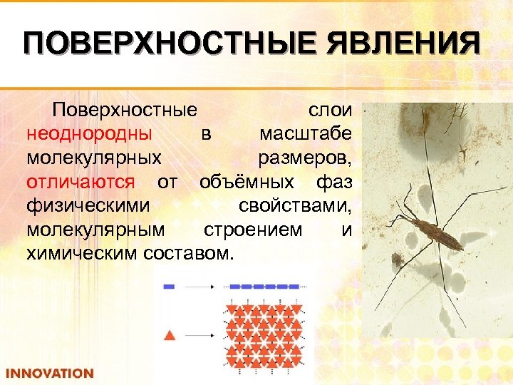 ПОВЕРХНОСТНЫЕ ЯВЛЕНИЯ Поверхностные слои неоднородны в масштабе молекулярных размеров, отличаются от объёмных фаз физическими