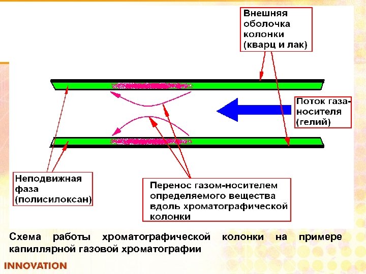 Схема работы хроматографической капиллярной газовой хроматографии колонки на примере 