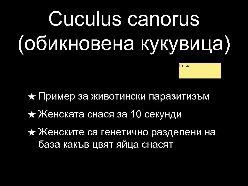 Cuculus canorus (обикновена кукувица) Паяци ★ Пример за животински паразитизъм ★ Женската снася за