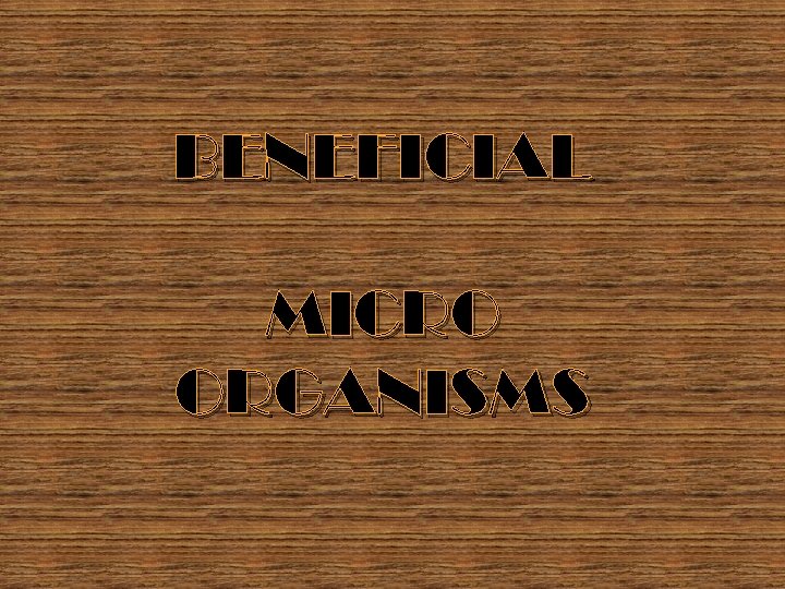 BENEFICIAL MICRO ORGANISMS 