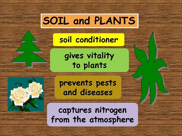SOIL and PLANTS soil conditioner gives vitality to plants prevents pests and diseases captures