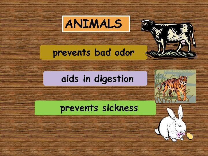 ANIMALS prevents bad odor aids in digestion prevents sickness 