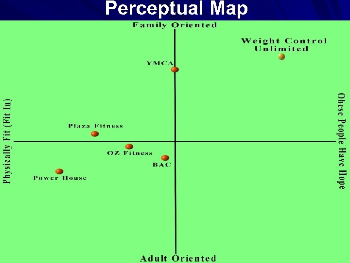 Perceptual Map 