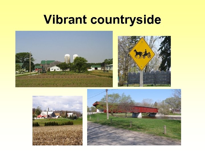 Vibrant countryside 