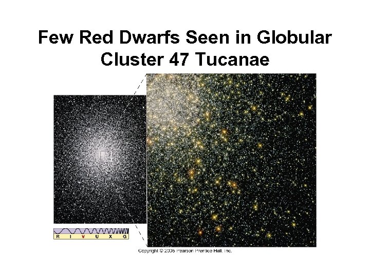 Few Red Dwarfs Seen in Globular Cluster 47 Tucanae 