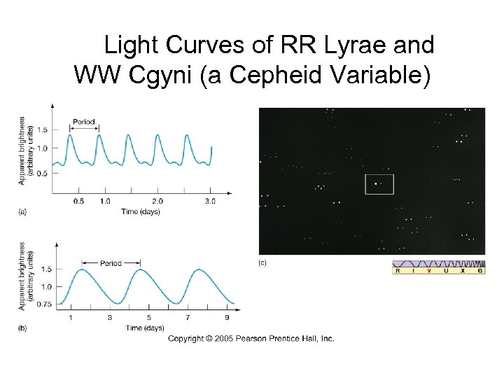 Light Curves of RR Lyrae and WW Cgyni (a Cepheid Variable) 