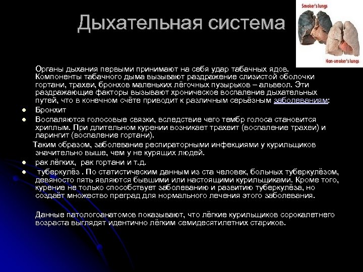 Дыхательная система Органы дыхания первыми принимают на себя удар табачных ядов. Компоненты табачного дыма