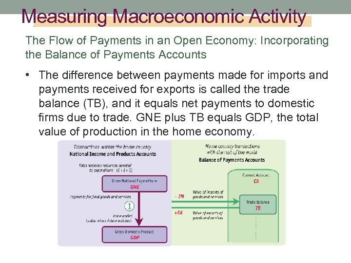 Measuring Macroeconomic Activity The Flow of Payments in an Open Economy: Incorporating the Balance