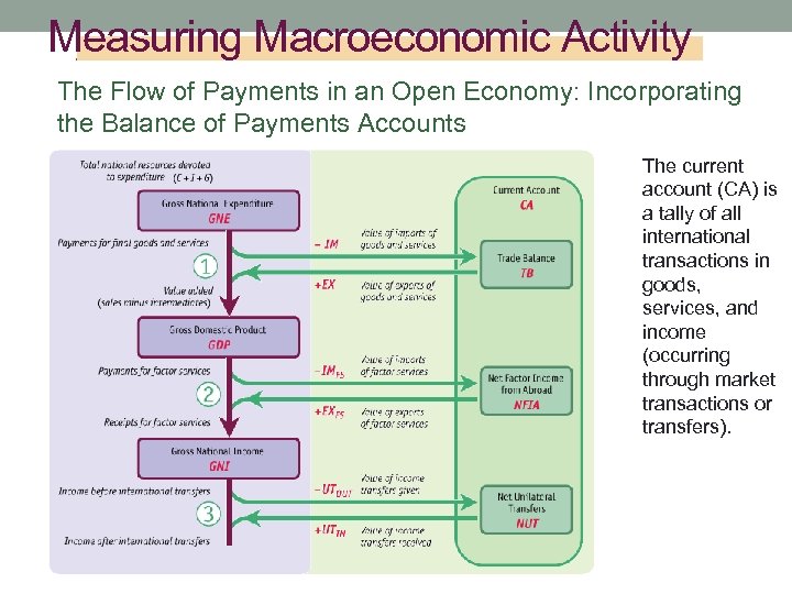 Measuring Macroeconomic Activity The Flow of Payments in an Open Economy: Incorporating the Balance