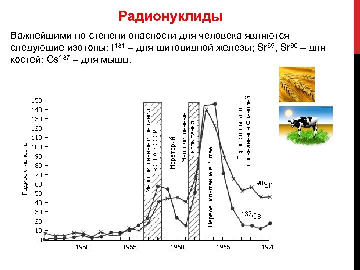 Радионуклиды Важнейшими по степени опасности для человека являются следующие изотопы: I 131 – для