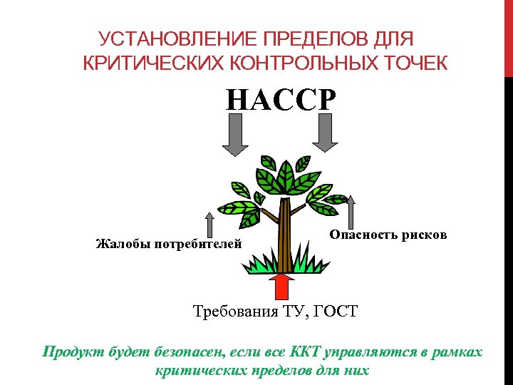 УСТАНОВЛЕНИЕ ПРЕДЕЛОВ ДЛЯ КРИТИЧЕСКИХ КОНТРОЛЬНЫХ ТОЧЕК НАССР Жалобы потребителей Опасность рисков Требования ТУ, ГОСТ