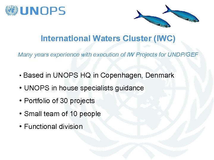 International Waters Cluster (IWC) Many years experience with execution of IW Projects for UNDP/GEF