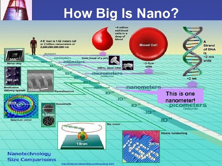 How Big Is Nano? This is one nanometer! http: //www. terressentials. com/exposure. html 