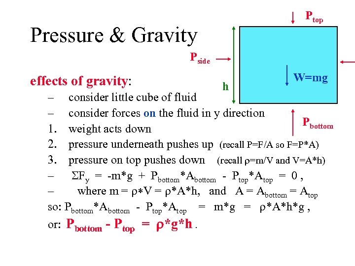 Ptop Pressure & Gravity Pside effects of gravity: h W=mg – consider little cube