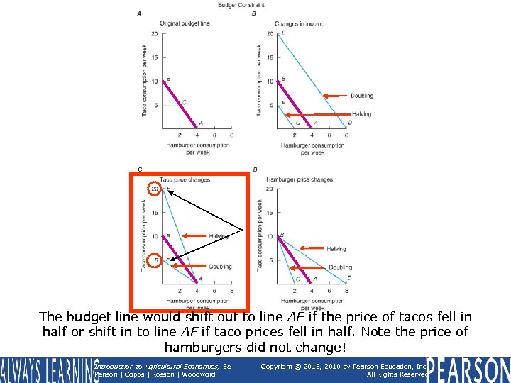 The budget line would shift out to line AE if the price of tacos