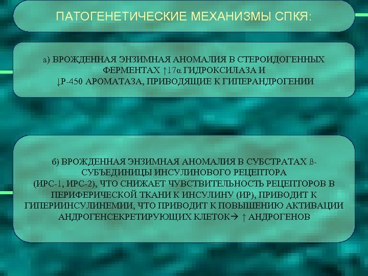 ПАТОГЕНЕТИЧЕСКИЕ МЕХАНИЗМЫ СПКЯ: а) ВРОЖДЕННАЯ ЭНЗИМНАЯ АНОМАЛИЯ В СТЕРОИДОГЕННЫХ ФЕРМЕНТАХ ↑ 17α ГИДРОКСИЛАЗА И