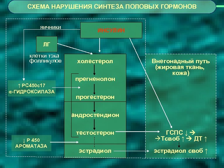 СХЕМА НАРУШЕНИЯ СИНТЕЗА ПОЛОВЫХ ГОРМОНОВ яичники ИНСУЛИН ЛГ клетки тэка фолликулов холестерол прегненолон ↑