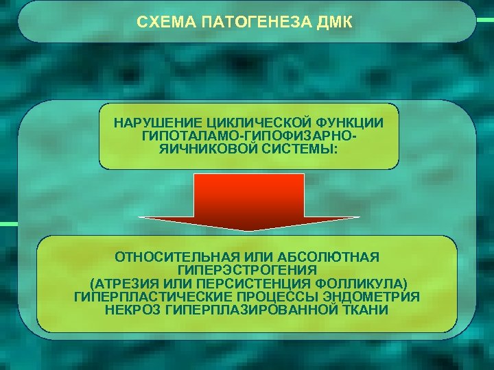 СХЕМА ПАТОГЕНЕЗА ДМК НАРУШЕНИЕ ЦИКЛИЧЕСКОЙ ФУНКЦИИ ГИПОТАЛАМО-ГИПОФИЗАРНОЯИЧНИКОВОЙ СИСТЕМЫ: ОТНОСИТЕЛЬНАЯ ИЛИ АБСОЛЮТНАЯ ГИПЕРЭСТРОГЕНИЯ (АТРЕЗИЯ ИЛИ