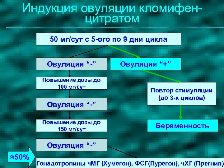 Индукция овуляции кломифенцитратом 50 мг/сут с 5 -ого по 9 дни цикла Овуляция “-”