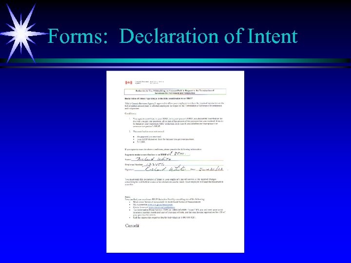 Forms: Declaration of Intent 