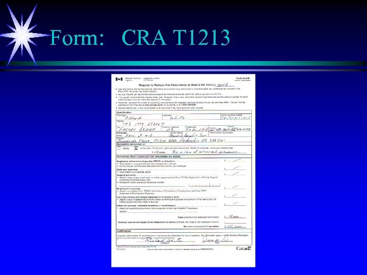 Form: CRA T 1213 