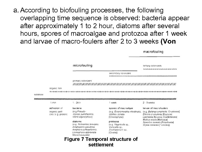 a. According to biofouling processes, the following overlapping time sequence is observed: bacteria appear