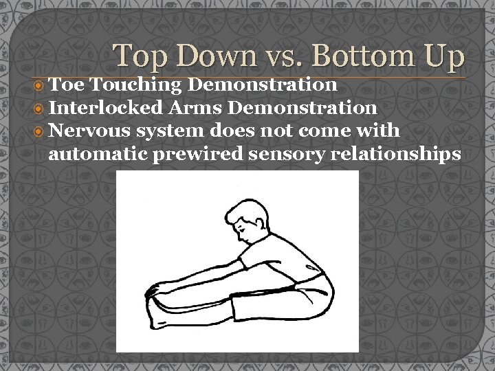  Toe Top Down vs. Bottom Up Touching Demonstration Interlocked Arms Demonstration Nervous system