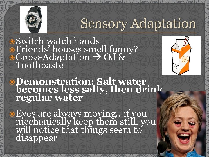 Sensory Adaptation Switch watch hands Friends’ houses smell funny? Cross-Adaptation OJ & Toothpaste Demonstration: