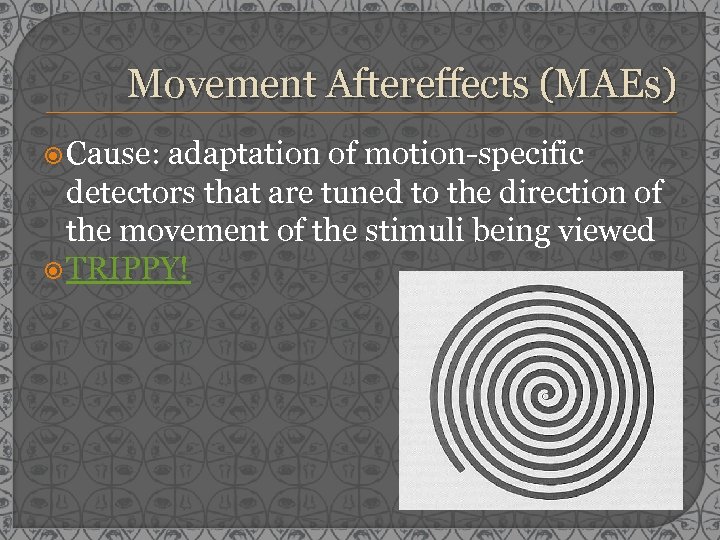 Movement Aftereffects (MAEs) Cause: adaptation of motion-specific detectors that are tuned to the direction