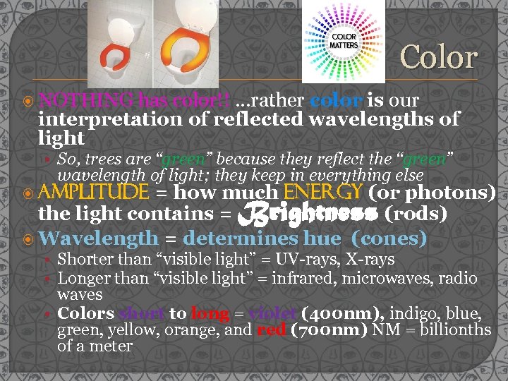 Color NOTHING has color!! …rather color is our interpretation of reflected wavelengths of light