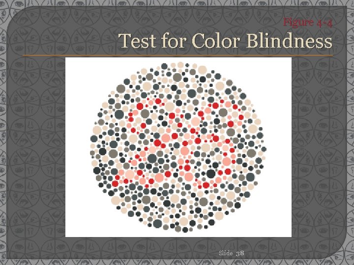 Figure 4 -4 Test for Color Blindness Slide 38 