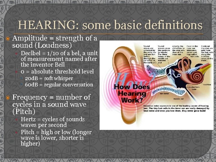 HEARING: some basic definitions Amplitude = strength of a sound (Loudness) • Decibel =