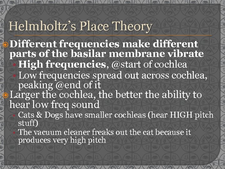 Helmholtz’s Place Theory Different frequencies make different parts of the basilar membrane vibrate •