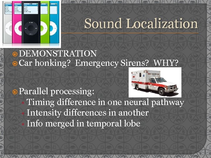 Sound Localization DEMONSTRATION Car honking? Emergency Sirens? WHY? Parallel processing: • Timing difference in