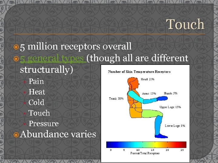 Touch 5 million receptors overall 5 general types (though all are different structurally) •