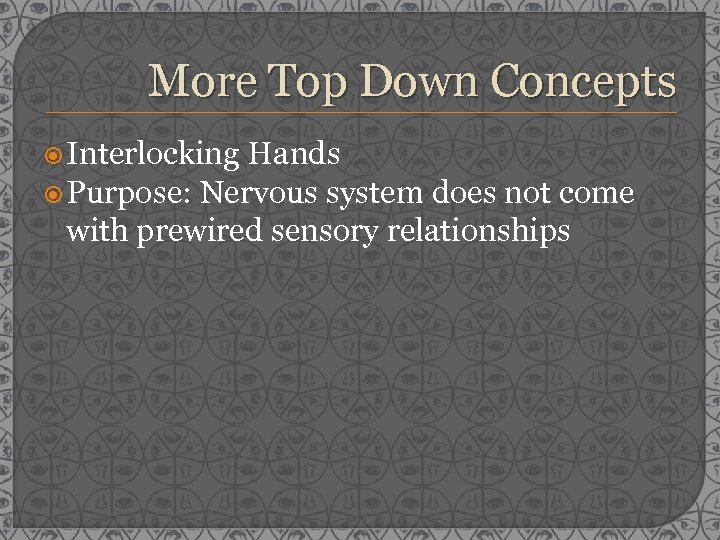 More Top Down Concepts Interlocking Hands Purpose: Nervous system does not come with prewired