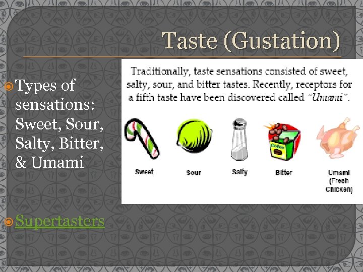 Taste (Gustation) Types of sensations: Sweet, Sour, Salty, Bitter, & Umami Supertasters 