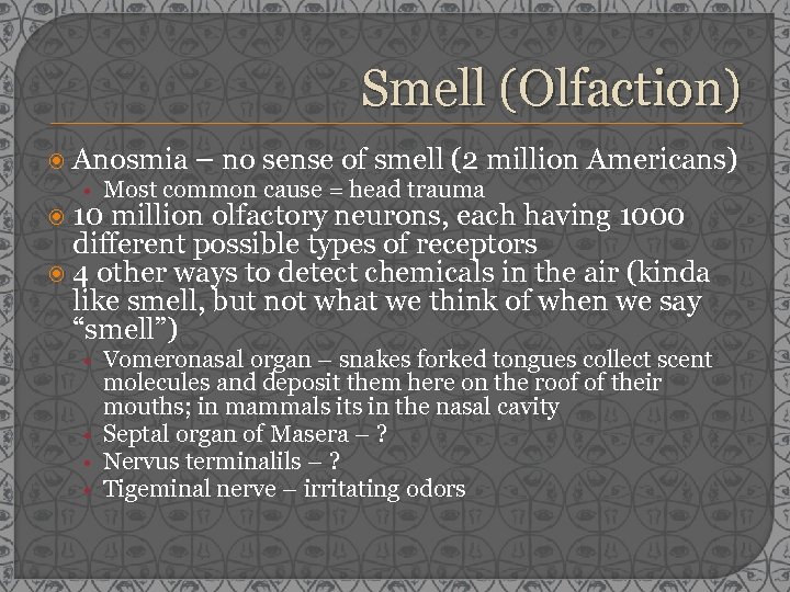 Smell (Olfaction) Anosmia – no sense of smell (2 million Americans) • Most common