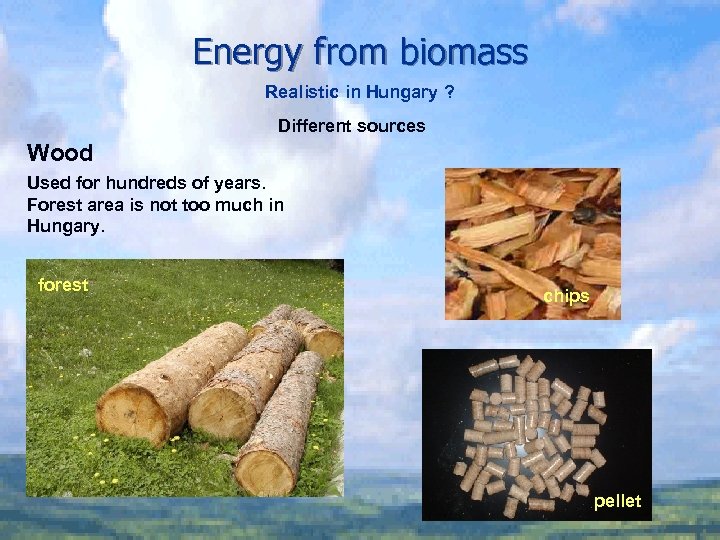 Energy from biomass Realistic in Hungary ? Different sources Wood Used for hundreds of