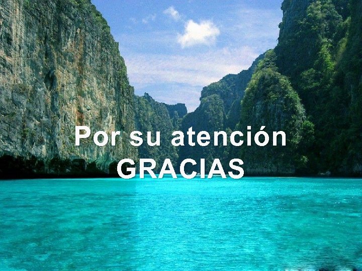 Por su atención GRACIAS 